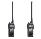 IC-A6; IC-A24